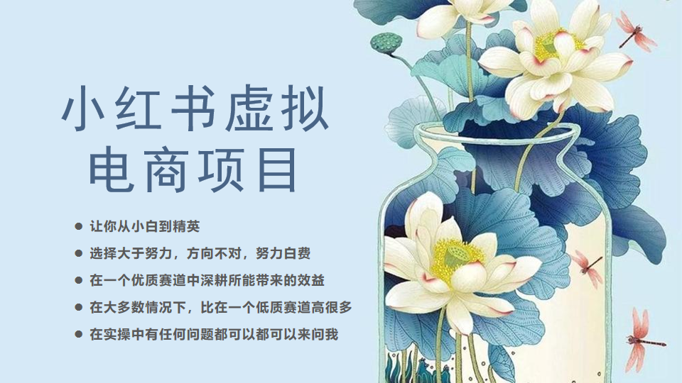小红书虚拟电商从0到1小白到精英（20节实操课程）-赚米吧