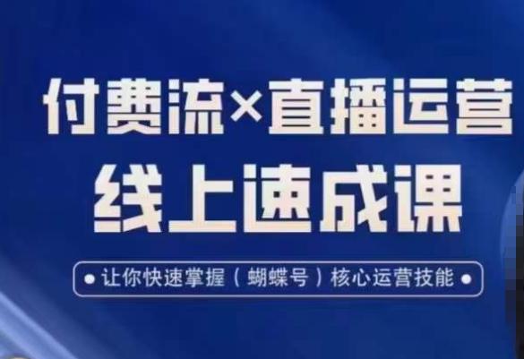 视频号付费流实操课程，付费流✖️直播运营速成课，让你快速掌握视频号核心运营技能-赚米吧
