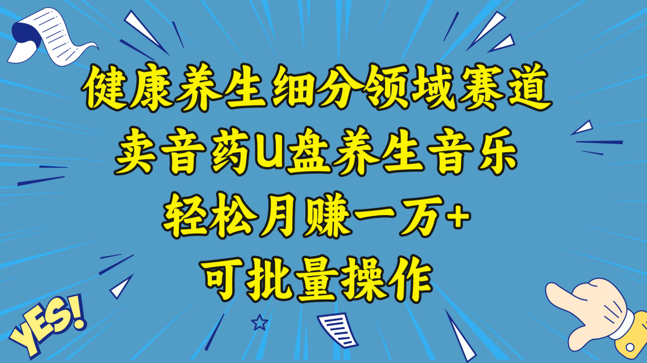五行音乐养生：细分领域赛道卖音药U盘，打造轻松月赚一万+的健康养生项目-赚米吧