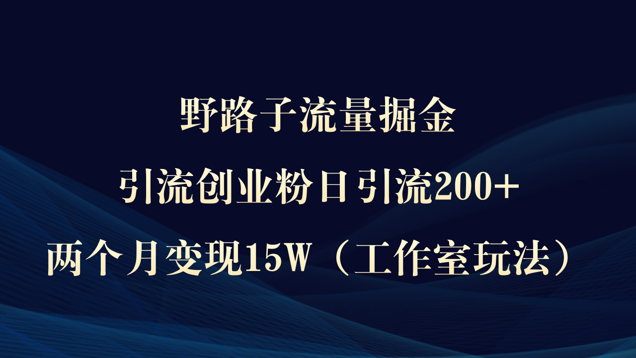 野路子流量掘金，引流创业粉日引流200+，两个月变现15W（工作室玩法））-赚米吧