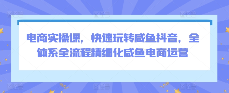 电商实操课，快速玩转咸鱼抖音，全体系全流程精细化咸鱼电商运营-赚米吧