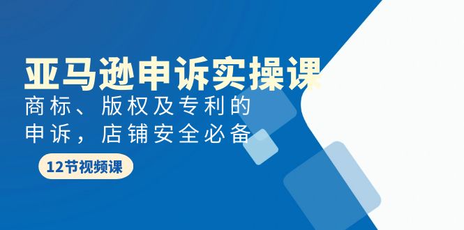 亚马逊-申诉实战课，商标、版权及专利的申诉，店铺安全必备-赚米吧