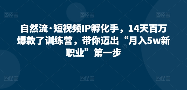 自然流·短视频IP孵化训练营，14天打造百万爆款，带你迈出“月入5W新职业”第一步-赚米吧