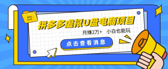 拼多多虚拟U盘电商：月赚2万+，红利项目，普通小白也能玩-赚米吧
