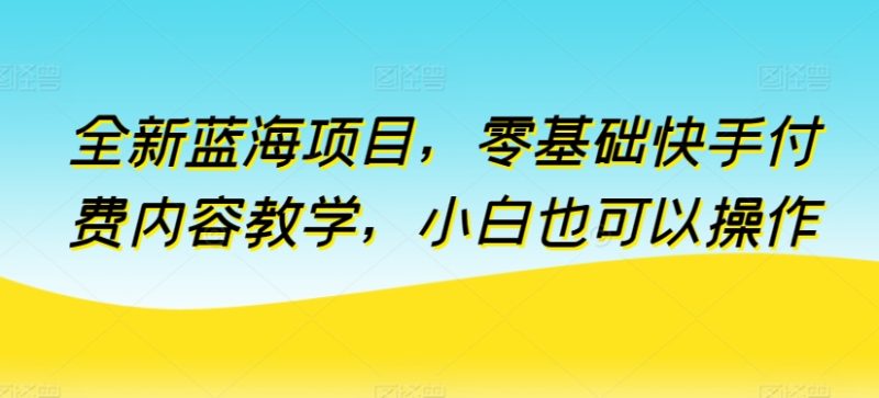 全新蓝海项目，从零开始：快手付费内容教学，小白变专家的秘密-赚米吧
