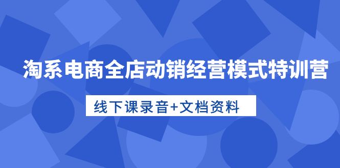 淘系电商运营高手特训：全店动销经营模式，线下课录音+文档资料-赚米吧
