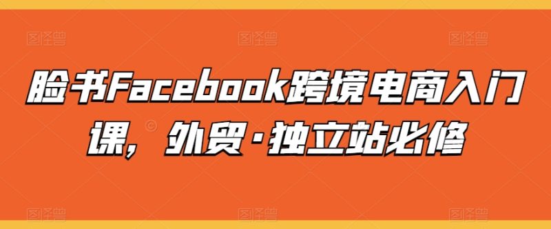 脸书FACEBOOK跨境电商入门课，外贸·独立站必修-赚米吧