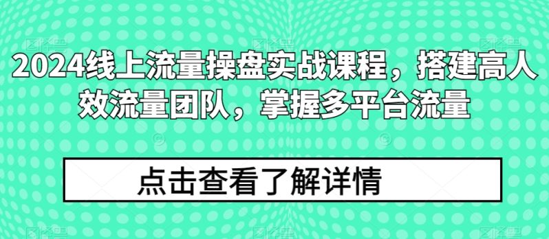 2024流量王者修炼手册：打造高效流量团队，解锁多平台流量秘籍-赚米吧