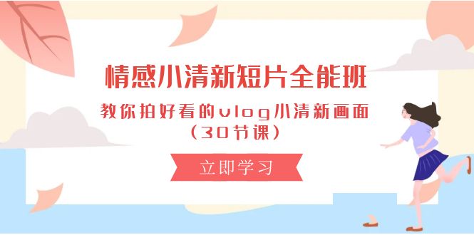 情感 小清新短片-全能班，教你拍好看的vlog小清新画面 (30节课)-赚米吧