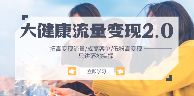 大健康 流量 变现2.0：拓高变现 流量/成高客单/低粉高变现/只讲落地实战-赚米吧