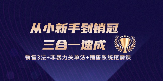 从小新手到销冠 三合一速成：销售3法+非暴力关单法+销售系统挖需课 (27节)-赚米吧