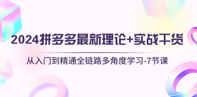 2024拼多多 最新理论+实战干货，从入门到精通全链路多角度学习-7节课-赚米吧