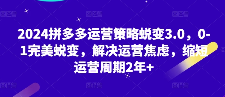 2024拼多多运营策略蜕变3.0，0-1完美蜕变，解决运营焦虑，缩短运营周期2年+-赚米吧