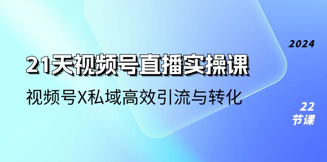 21天-视频号直播实操课，视频号X私域高效引流与转化（22节课）-赚米吧