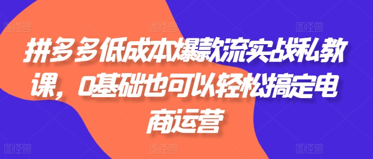 拼多多低成本爆款流实战私教课，0基础也可以轻松搞定电商运营-赚米吧