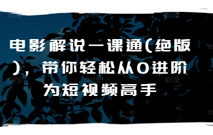 电影解说一课通(绝版)，带你轻松从0进阶为短视频高手-赚米吧
