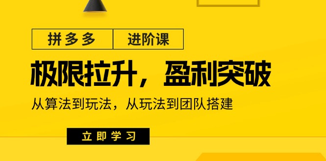 拼多多·进阶课：极限拉升/盈利突破：从算法到玩法 从玩法到团队搭建-18节-赚米吧
