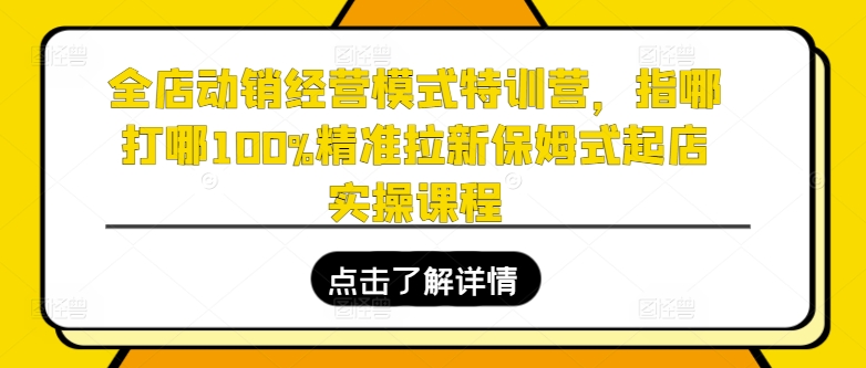 全店动销经营模式特训营，指哪打哪100%精准拉新保姆式起店实操课程-赚米吧