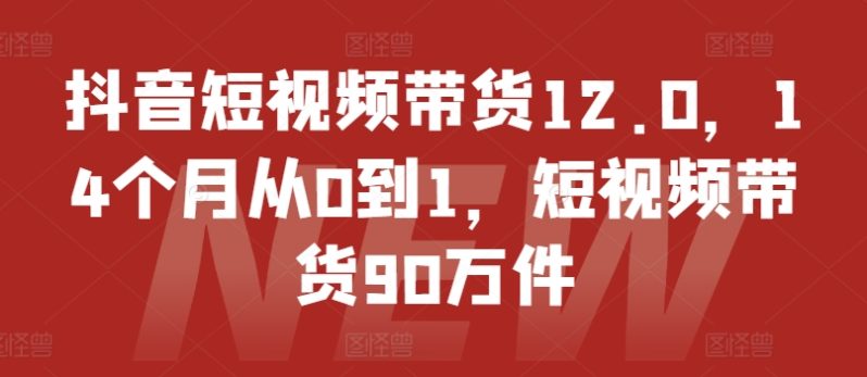 抖音短视频带货12.0，14个月从0到1，短视频带货90万件-赚米吧