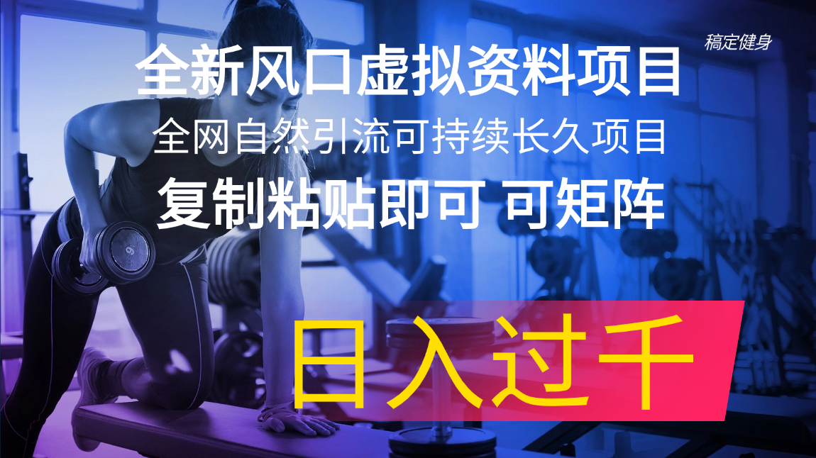全新风口虚拟资料项目 全网自然引流可持续长久项目 复制粘贴即可可矩阵-赚米吧