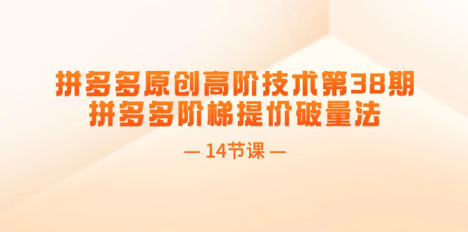拼多多原创高阶技术第38期，拼多多阶梯提价破量法（14节课）-赚米吧