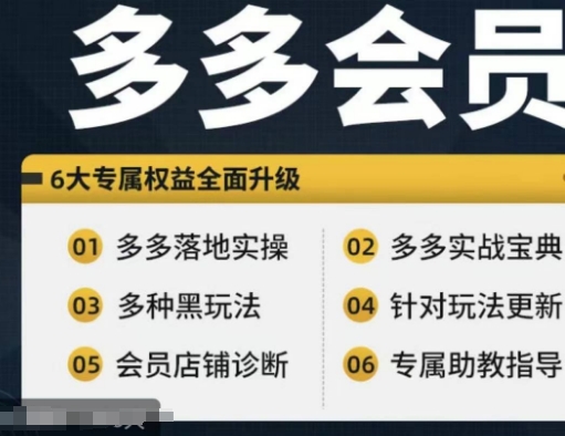 拼多多会员，拼多多实战宝典+实战落地实操，从新手到高阶内容全面覆盖-赚米吧