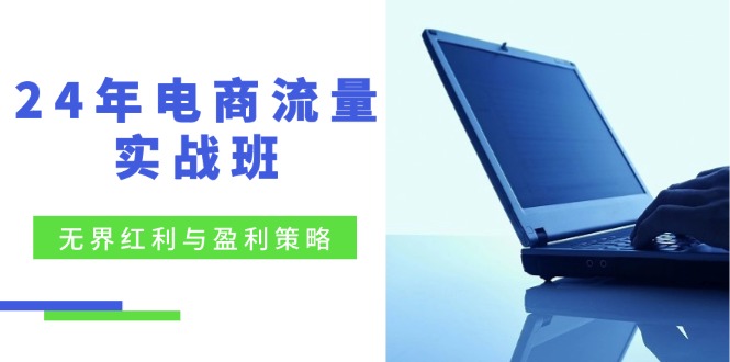 24年电商流量实战班：无界 红利与盈利策略，终极提升/关键词优化-赚米吧