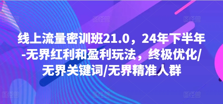 线上流量密训班21.0，24年下半年-无界红利和盈利玩法，终极优化/无界关键词/无界精准人群-赚米吧