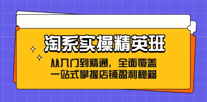 淘系实操精英班：从入门到精通，全面覆盖，一站式掌握店铺盈利秘籍-赚米吧