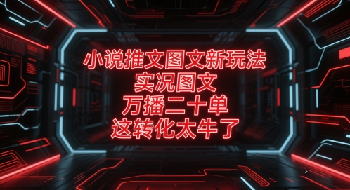 小说推文图文新玩法，实况图文，万播二十单，这转化太牛了！-赚米吧
