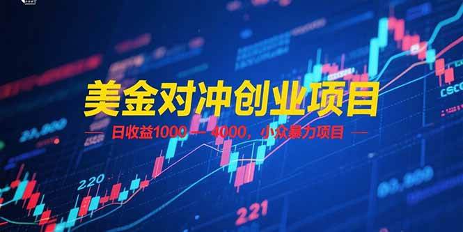 美金对冲创业项目，日收益 1000 – 4000，小众暴力项目-赚米吧