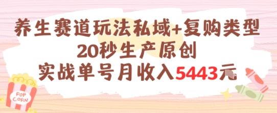 养生赛道玩法私域+复购类型，20秒生产原创实战单号月收入5k+-赚米吧