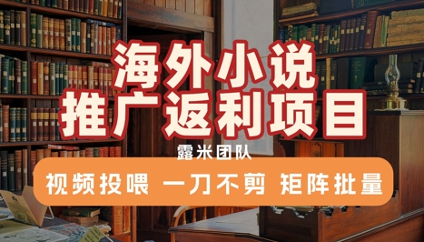 海外小说推广返利项目，视频投喂， 一刀不剪，矩阵批量-赚米吧